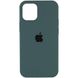 Уцінка Чохол Silicone Case Full Protective (AA) для Apple iPhone 12 Pro Max (6.7"") (Естетичний дефект / Зелений / Cactus)