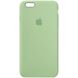 Чохол Silicone Case Full Protective (AA) для Apple iPhone 6/6s (4.7"") (Зелений / Pistachio)