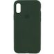 Чохол Silicone Case Full Protective (AA) для Apple iPhone XR (6.1"") (Зелений / Cyprus Green)