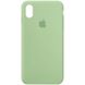 Чохол Silicone Case Full Protective (AA) для Apple iPhone X (5.8"") / XS (5.8"") (Зелений / Pistachio)