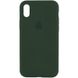 Чохол Silicone Case Full Protective (AA) для Apple iPhone X (5.8"") / XS (5.8"") (Зелений / Cyprus Green)